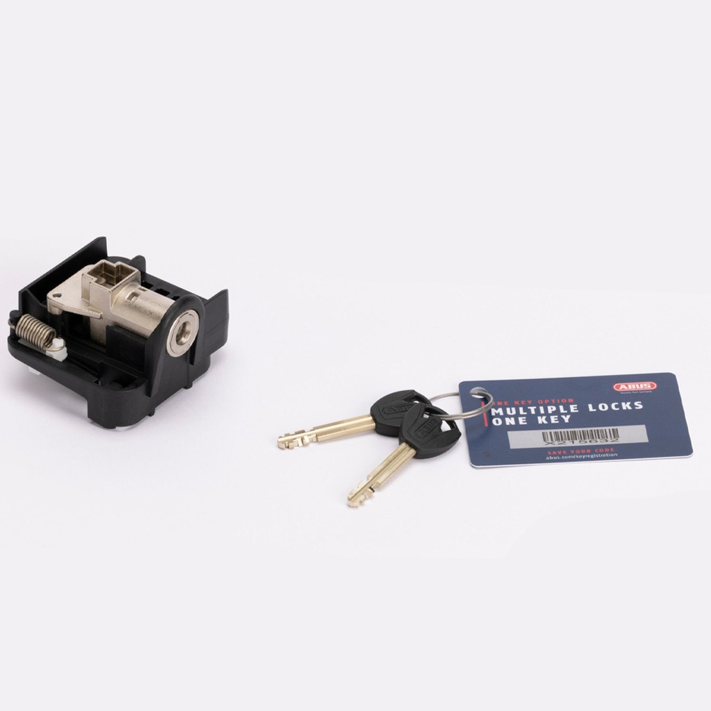 420047 CERROJO BERGAMONT P/TAPA/BATERIA ERIDE